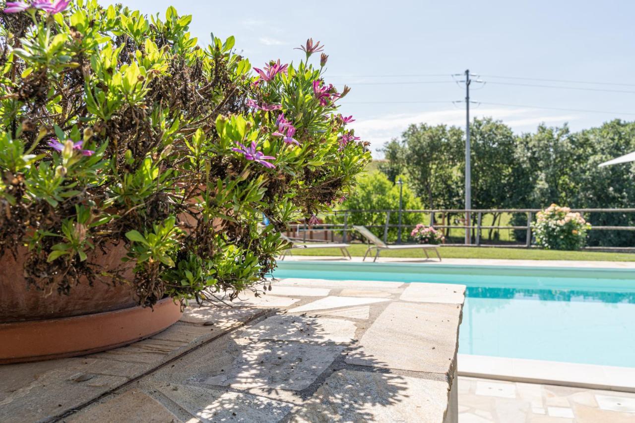 Montenovo Country House Ostra Vetere Εξωτερικό φωτογραφία